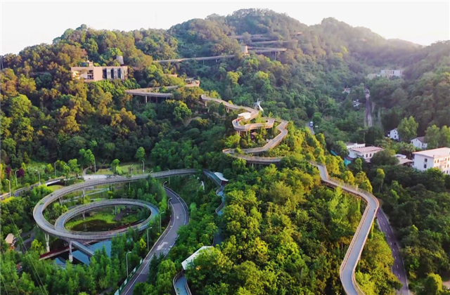 中天控股集團榮獲兩項國家級協(xié)會工程建設(shè)科學技術(shù)獎！